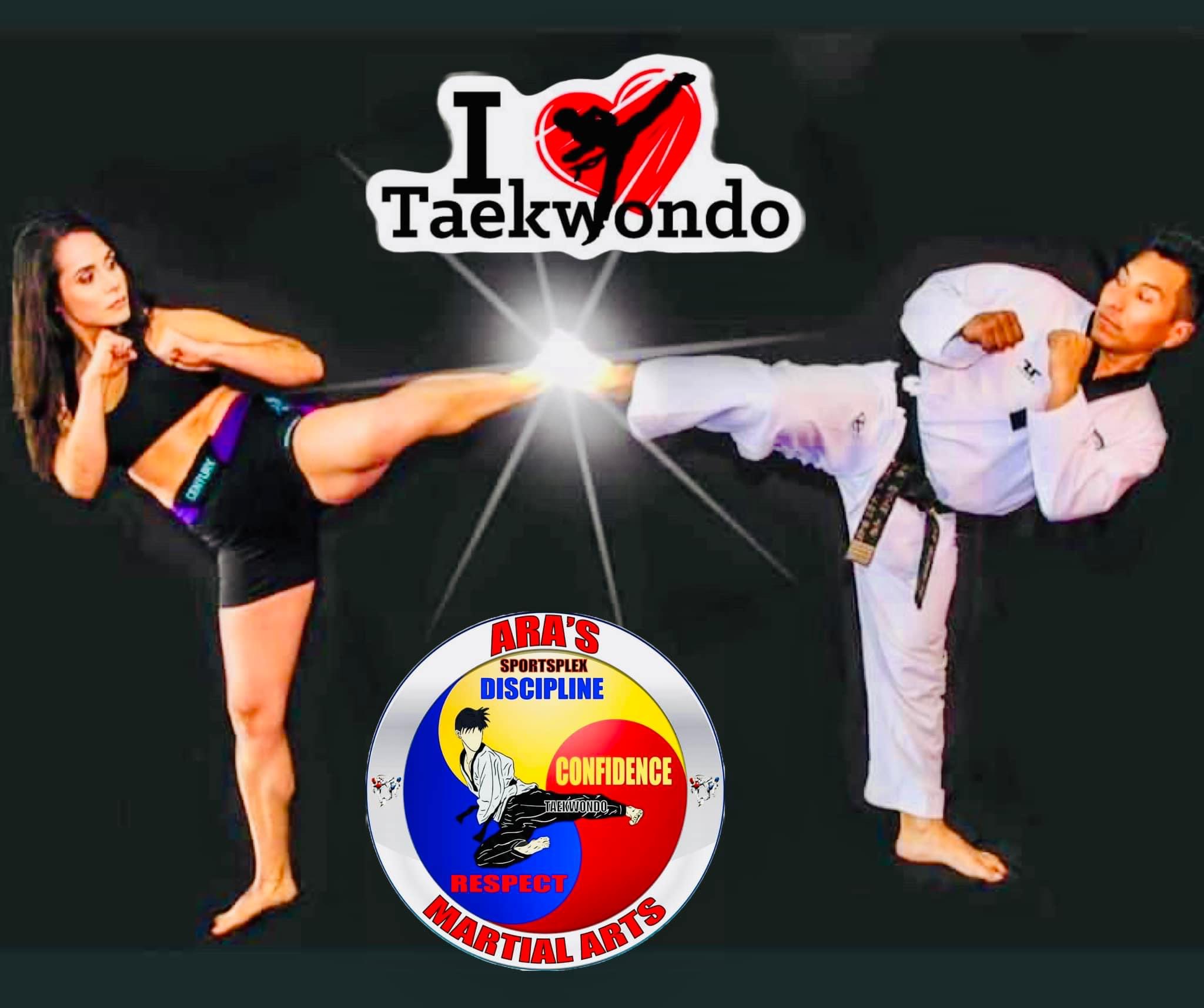 Master Ara demonstrating Taekwondo technique